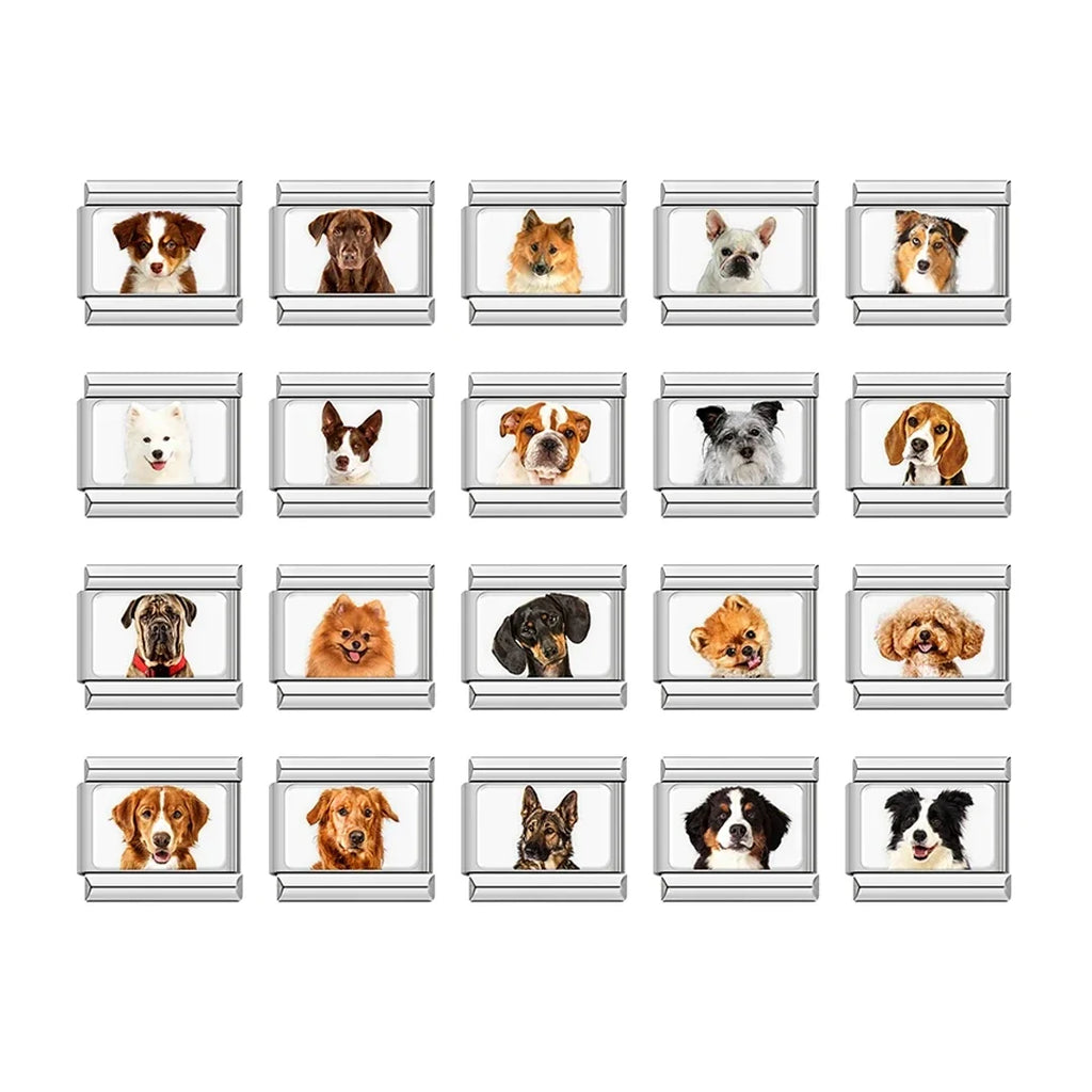 Charm Meu Doguinho - Blisca®