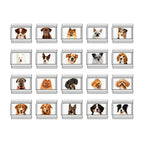 Charm Meu Doguinho - Blisca®