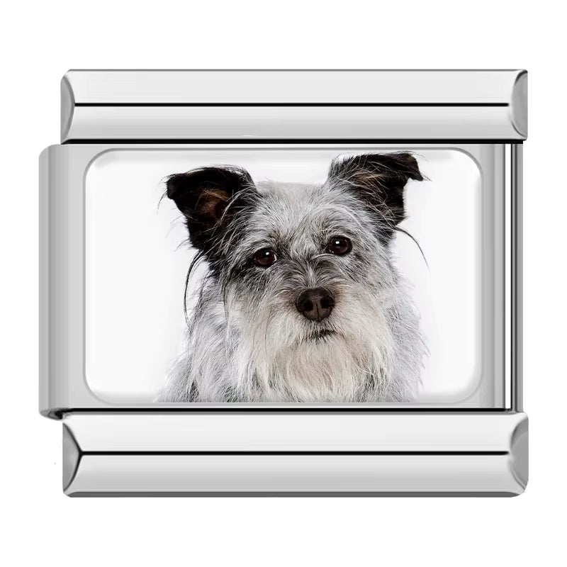 Charm Meu Doguinho - Blisca®