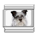 Charm Meu Doguinho - Blisca®